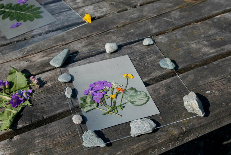 Webs Kunstverksted sommer 2025 Foto AMS 220