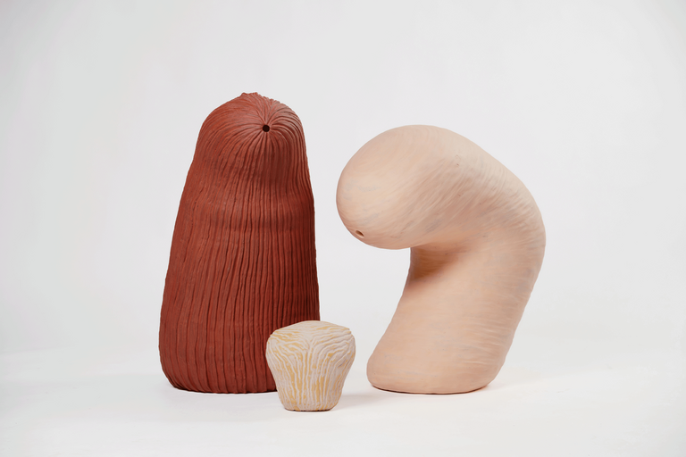 Webside Foto Carsten Aniksdal 01 web