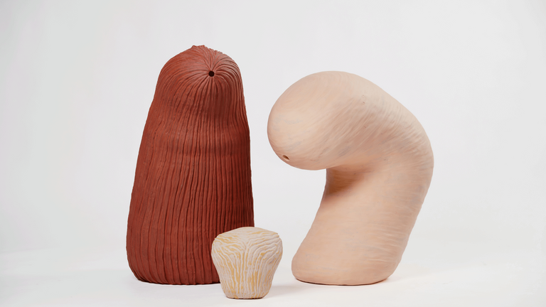 Webside Foto Carsten Aniksdal 01 web