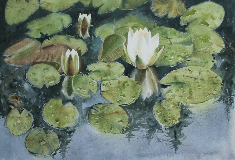 Webs The legend of the Carpathians 2021